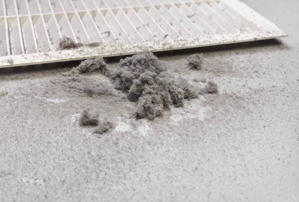Best Residential Air Duct Cleaning  in La Porte City, IA