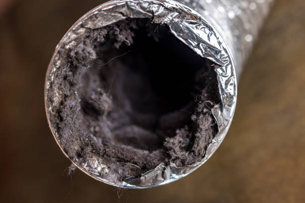 Best Ductwork Cleaning Services  in La Porte City, IA