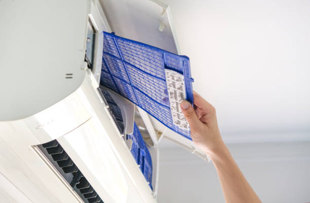 Best Air Duct Mold Removal  in La Porte City, IA