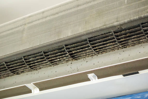 Best Affordable HVAC Duct Cleaning  in La Porte City, IA