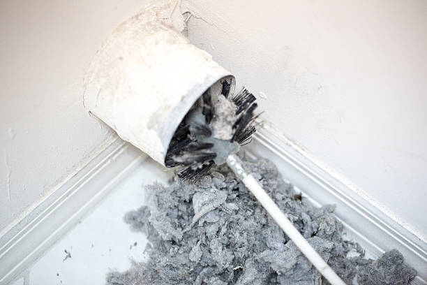 Best Professional Duct Cleaning Services  in La Porte City, IA